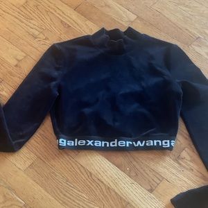 Alexander wang eve  crewneck pullover hoddie